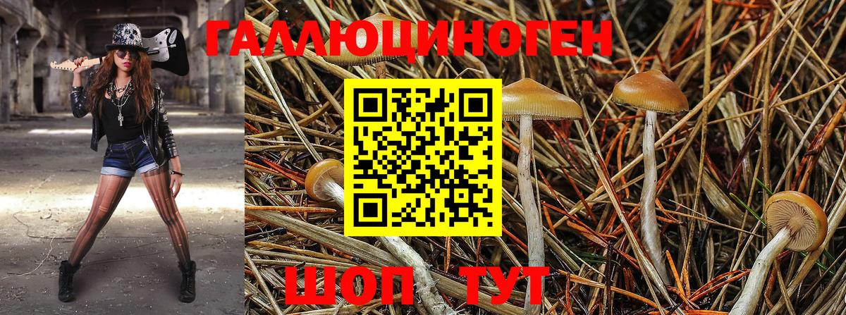 Галлюциногенные грибы GOLDEN TEACHER Ипатово